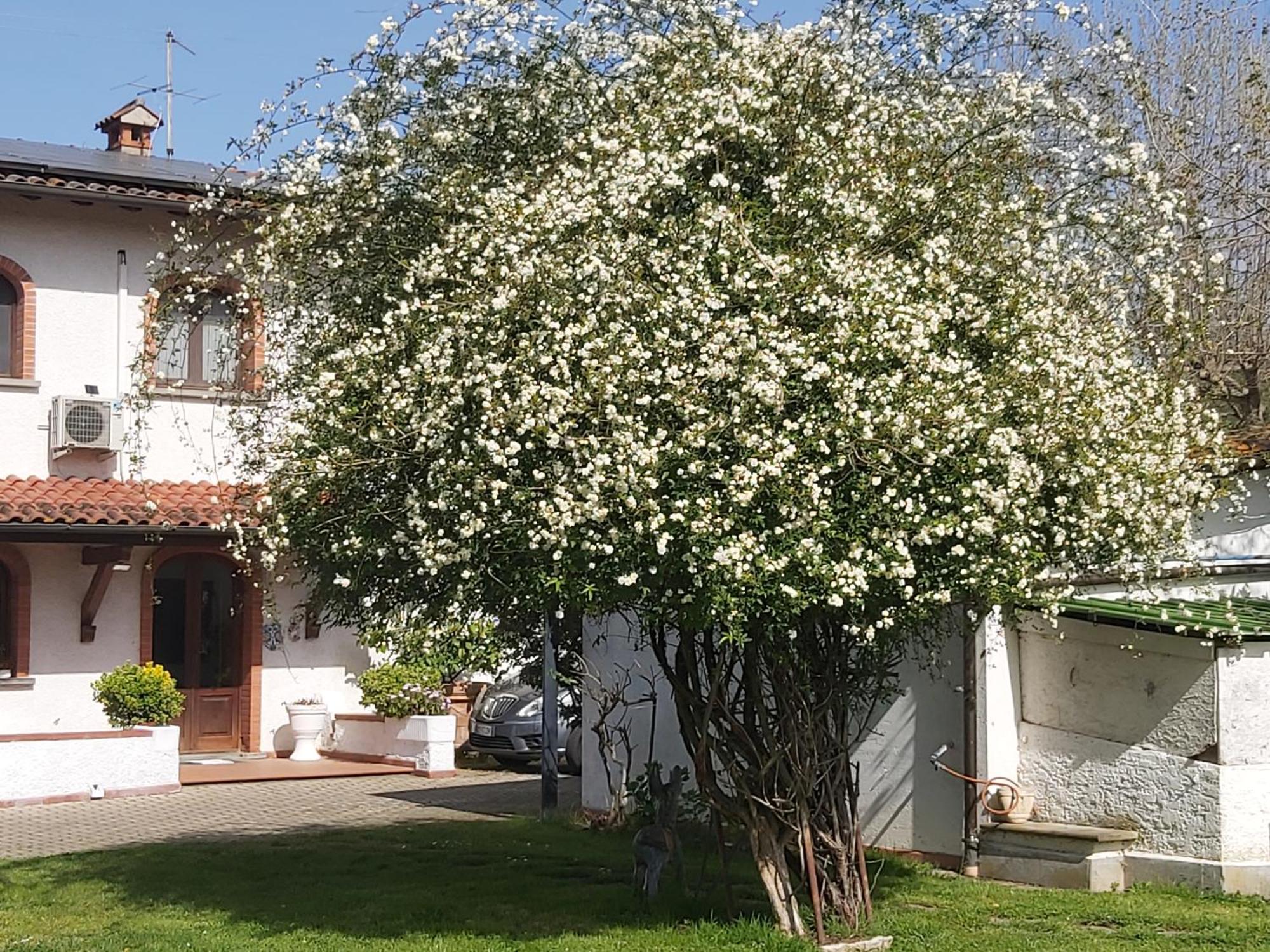 Villa Fioccomare Camaiore Bagian luar foto