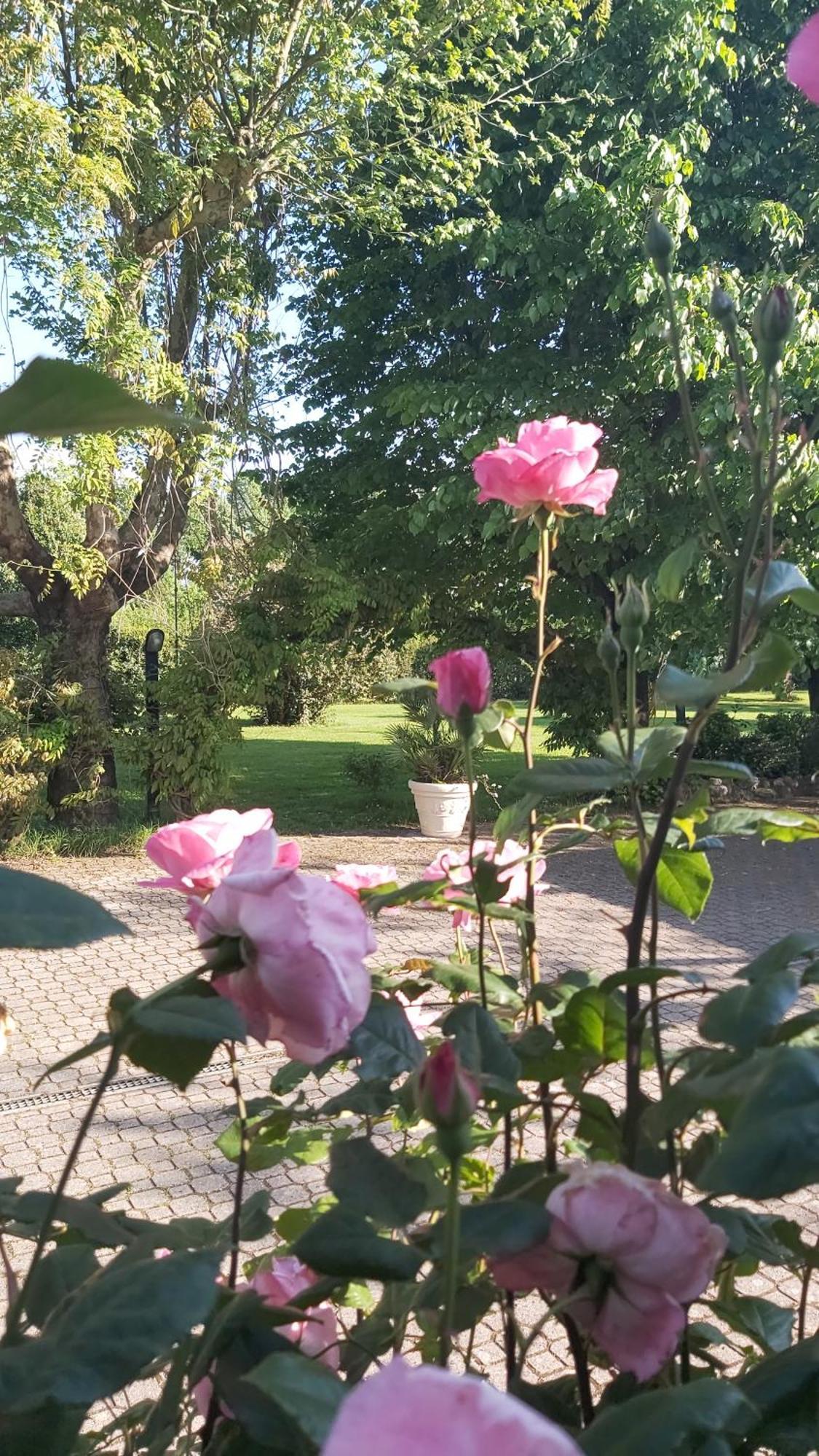 Villa Fioccomare Camaiore Bagian luar foto
