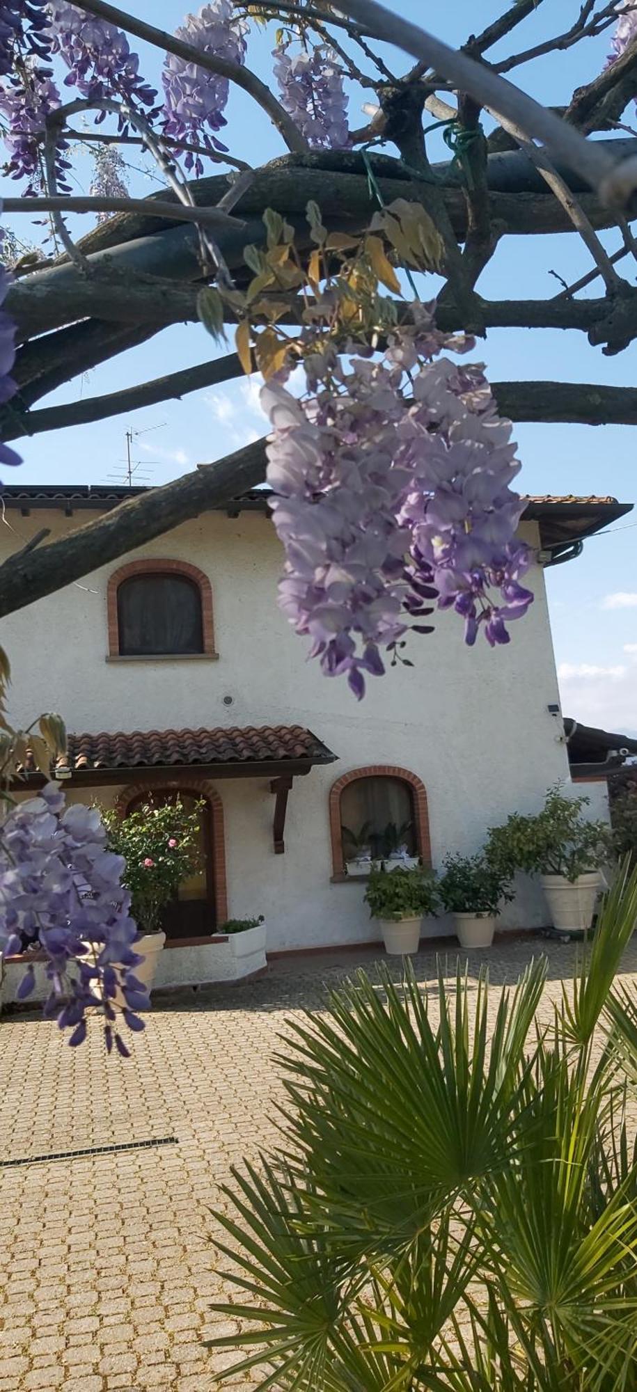 Villa Fioccomare Camaiore Bagian luar foto