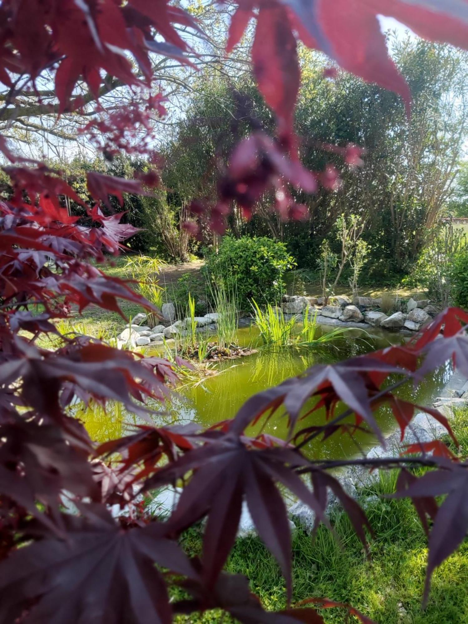 Villa Fioccomare Camaiore Bagian luar foto