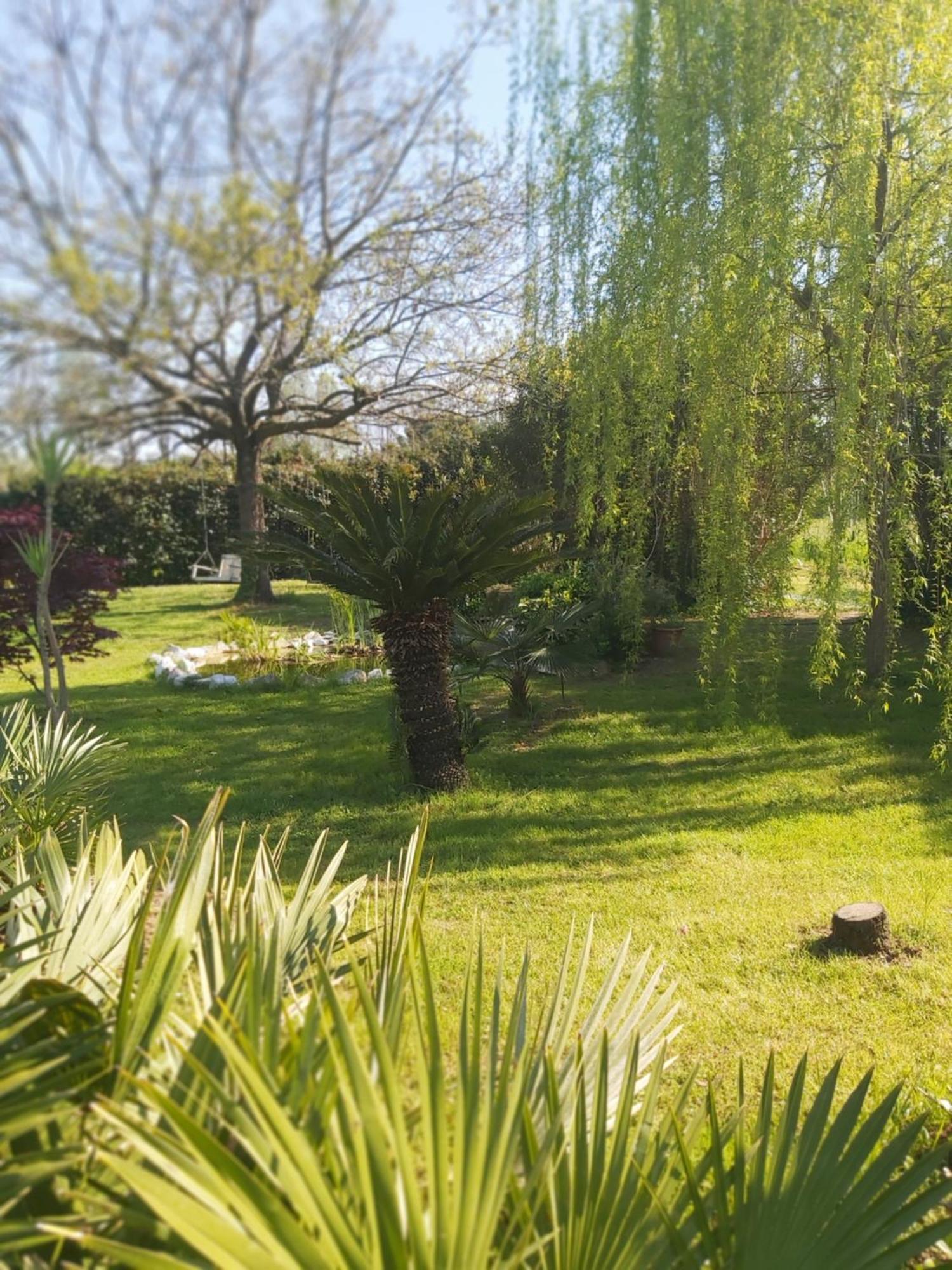 Villa Fioccomare Camaiore Bagian luar foto